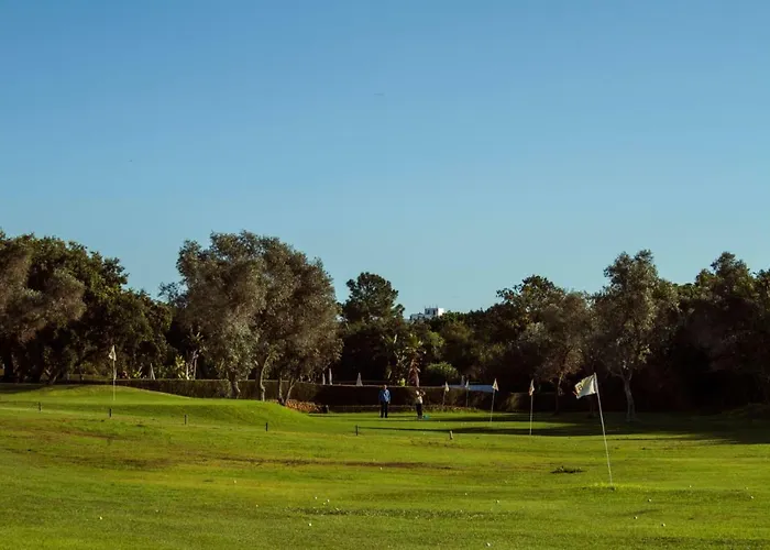 Maria - Balaia 702 알부페이라