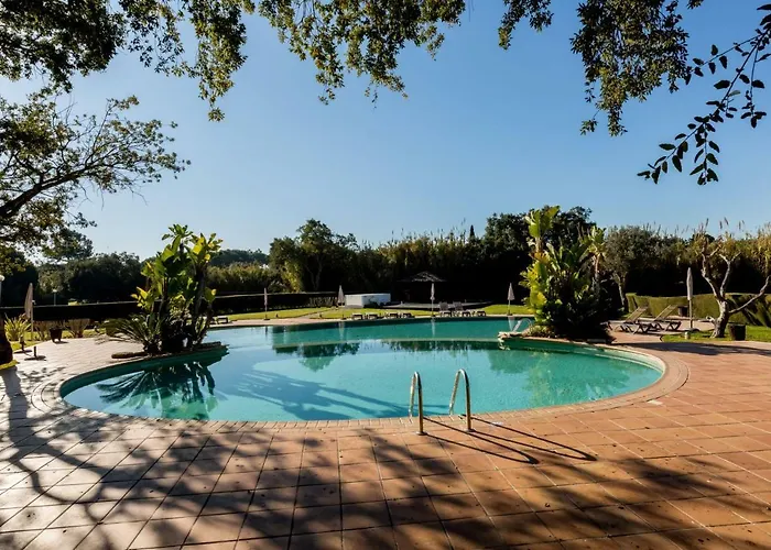 Maria - Balaia 702 * 阿尔布费拉